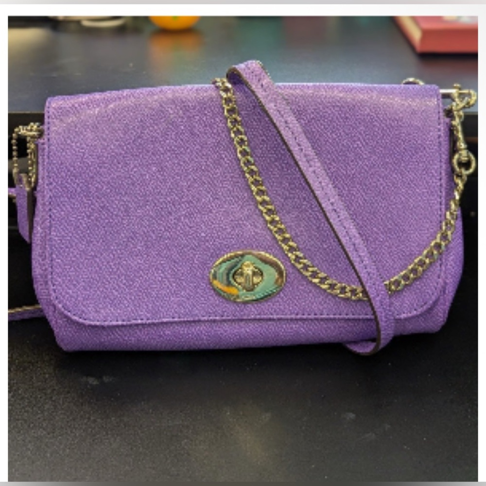 🇺🇸Coach purple ruby Chain Strap EUC silver hardware